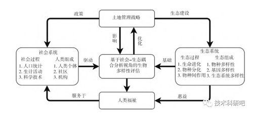 多技術(shù)融合在生態(tài)系統(tǒng)服務(wù)功能社會價值評估中的應(yīng)用及論文寫作與信息系統(tǒng)運(yùn)行維護(hù)拓展分析
